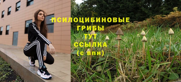 ALPHA-PVP Нефтегорск