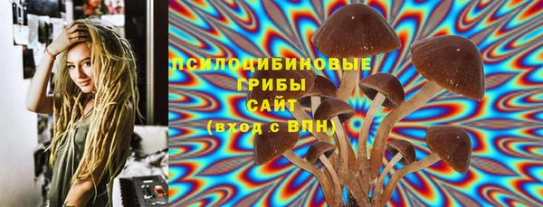герыч Новодвинск