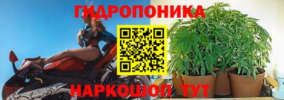 ECSTASY Гагарин