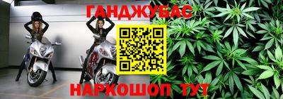 спайс Гай