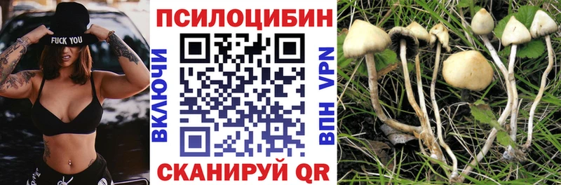 Галлюциногенные грибы мицелий  Искитим 