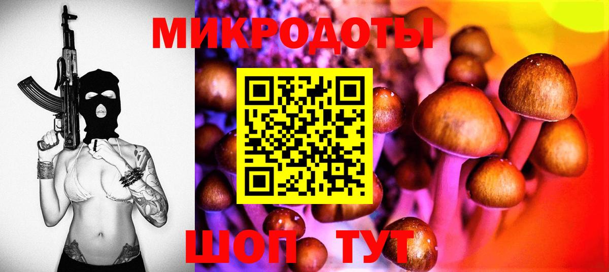 Галлюциногенные грибы Psilocybine cubensis Искитим