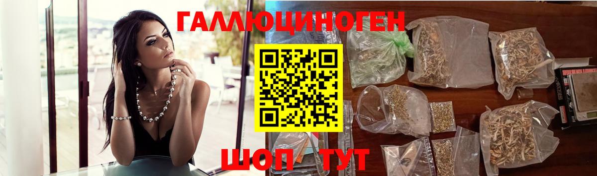 Галлюциногенные грибы Psilocybe  Псилоцибиновые грибы мицелий  Вход с VPN  Искитим 